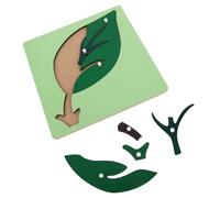 Toddmomy Material Didáctico Montessori Árbol Montessori Juguetes Sensoriales Montessori Materiales Montessori Kit Montessori Juguetes Montessori Kit De Juguetes Montessori Juguetes para