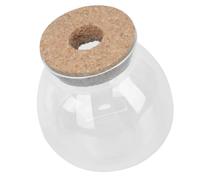 Toddmomy pecera de Vidrio hidropónico bonsái Tanque macramé pecera Betta Bohemio Taza Paso decoración de micropaisaje Botella Mini Paisaje Botella ecológica de Musgo Manualidades con Musgo