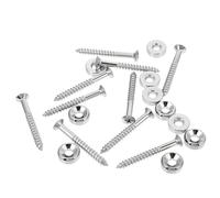 Toddmomy Perno de Casquillo de Unión para Mástil de Guitarra Eléctrica, 10 Piezas Plateadas, Tornillos de Fijación para Refuerzo y Montaje en Guitarra, Accesorio Duradero para Reparación