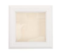 Toddmomy Vitrina para insectos con ventana transparente - Caja para especímenes de identificación de 10x10 cm con tapa - Exhibición de colección de mariposas y libélulas en 3D para decoración de