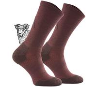 TODO Calcetines de senderismo BP Merino para hombre, mujer, niños. Calcetines de trekking, lana merino, transpirables, antiburbujas, producción de la UE