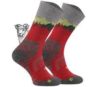 TODO Calcetines de senderismo BP Merino para hombre, mujer, niños. Calcetines de trekking, lana merino, transpirables, antiburbujas, producción de la UE, Falcon Trail - Juicy Raspberry, 39-42