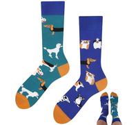 TODO Colours Divertidos calcetines con diseño - Multicolor, colorido, loco para la alegría de vivir, Calcetines Blue Dogs, 43-46