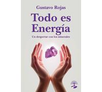 TODO ES ENERGIA | Gustavo Rojas Bravo