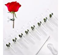 TODO ESPECIAL 8 piezas de tubos de agua para flores - Tubos florales transparentes para colgar en la pared Tubos de agua florales Tubos de flores