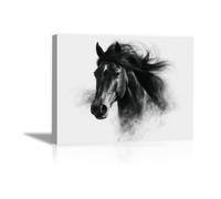 TODOAA Abstractos Blanco Y Negro Cuadros PóSteres Cartel abstracto de caballos en graffiti Decoracion Salon Modernos, Salón Comedor Oficina Pintura Lienzos decorativos-30x40cm Enmarcado