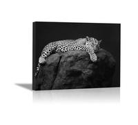 TODOAA Animal Cuadro Moderno Lienzo Leopardo negro y blanco Lienzos Decorativos para Dormitorios -Modernos Animales salon dormitorios baño Pasillo cuadros（Negro-40x60cm Enmarcado