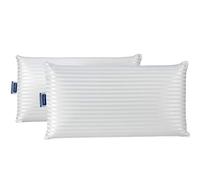 Todocama - Almohada viscoelástica, antiácaros y antibacterias. Tejido Platinium Suave, Fresco y Transpirable. Núcleo termorregulable, Doble Funda con Cremallera Lavable. (Pack 2 unidades de 70cm).