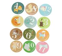 Tofficu 12 Piezas Pegatinas de Meses para Recién Nacidos Etiquetas Adhesivas para Fotografía Infantil Accesorios Prácticos para Momentos Especiales