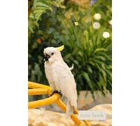 Together, We Glow: A Heartwarming Notebook for Shared Moments, Gentle Thoughts, and Joyful Days