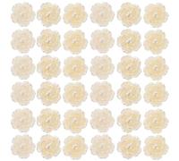 TOGEVAL 100 piezas Dijes Rosa Resina para Decoración de Fundas Móvil Accesorios DIY Manualidades Material Resistente y Encantador para Bisutería y Complementos