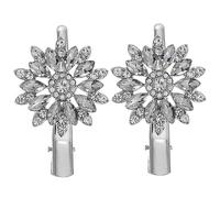 TOGEVAL 2 Pasadores de Pelo Flores de Gemas de Imitación y Cristal, Pinza de Aleación Plateada, para Fiestas y Banquetes