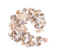 TOGEVAL 250 Piezas Conchas Marinas Naturales Pequeñas para Decoración Hogar y Manualidades para Peceras y Proyectos Creativos