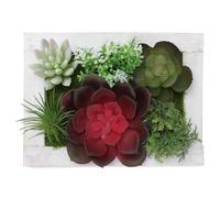 TOGEVAL Marco de Fotos Creativo de Madera Suculentas Falsas para Decoración de Pared del Hogar y Fiesta Verano, Diseño Realista y Adorno Decorativo para Salón o Cafetería