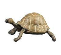 TOGEVAL Modelo de Tortuga Realista de Plástico Juguete Decorativo para Escritorio Simulación Natural para Educación Infantil y Decoración Ambiental