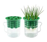 Toheitian Maceta para Cebollín Regrower para Brotar 2 Contenedores para Cultivar Cebollín & 2 Tazas de Plástico con Asa para Ventana
