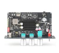 Toheitian TW100U Placa Amplificadora Mono de 100 W, Módulo Amplificador de Potencia Digital TPA3116D2 con Circuito Elevador de Voltaje Incorporado (19 V/24 V)