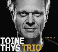 Toine Thys Trio - Grizzly