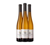 Tokaj-Hétszolo Late Harvest Tokaj-Hegyalja Botella Medium 50 cl Vino dulce (Caja de 3 Botella Medium de 50 cl)