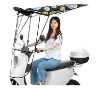 Toldo for coche eléctrico, batería, motocicleta, viento, lluvia, sol y parasol retráctil, toldo plegable.(Color 05)