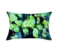 Tolldek Funda de cojín suave, hojas verdes con gotas de rocío, cojín decorativo cuadrado, poliéster sin arrugas, fundas de almohada para salón, verde, 30 x 50 cm, 1 unidad