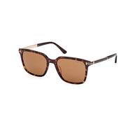 Tom Ford FT1183 JOCHEM C56 52E - Havana oscuro / Havana oscuro