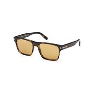 TOM FORD Hombre TOM FORD FT1205 CALDER 56E Gafas de sol Acetato la Habana Marrón Cuadrada Normal