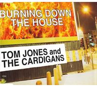 Tom Jones & The Cardigans - Tom Jones & The Cardigans - Burning Down The House - [CDS]