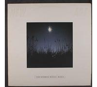 TOM NEWMAN - bayou moon LP