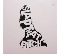 Tom Novy - Slap That Bitch