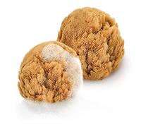 tom&pat® Esponja bebé recién nacido • 100% natural mar Mediterráneo • esponja baño bebé • para recién nacidos y niños • Dermatest excelente • suave • calidad mediterránea Grecia (2 x 7-10 cm)