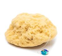 tom&pat® Esponja natural Silk - suave para ducha y piel delicada (13-14 cm)