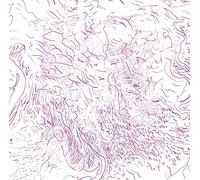 TOM SKINNER - VOICES OF BISHARA [Vinilo]