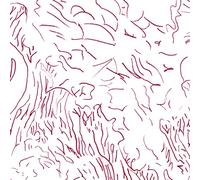 Tom Skinner - VOICES OF BISHARA [Vinilo]