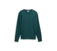 TOM TAILOR Sudadera para Hombre, 38872 Jasper Green Navy Structure, XL