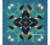 TOM VERLAINE - KALEIDESCOPIN' 7" (45) UK FONTANA 1990 WITH PRESS RELEASE B/W SIXTEEN TULIPS (VLANE6) PROTER STICKERED PIC SLEEVE