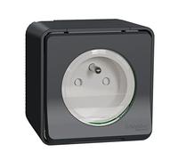 Toma de corriente 2P + T, estanca, gris, de superficie, completa - , Styl