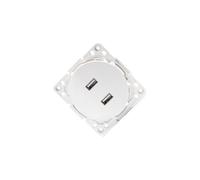 Toma USB - pieza con 2 puertos USB, entrada alemana/francesa, color blanco, ideal para cargar dispositivos electrónicos simultáneamente.