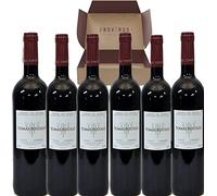 Tomas Postigo Crianza 3er Año - Mejor Seleccion Enovinos - Pack 6 Botellas