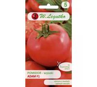 Tomate de tierra alto Adam F1: los frutos se pueden conservar hasta 3 semanas.