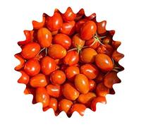 Tomate mexicano de miel/aproximadamente 20 semillas/variedades de tomate dulce/más caro de azúcar