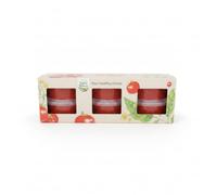 Tomate Rallado 100% Natural - Pack Ahorro de 3 Tarrinas - Nutri-Score A, Vegano y Sin Aditivos - Ideal para Tostadas y Desayunos Saludables - NEXU