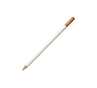 Tombow | IROJITEN | Lapices de Colores Profesionales de Calidad | Ideal para Ilustraciones, Bullet Journaling, Mandalas | Uso Doméstico y Profesional | Color Bamboo