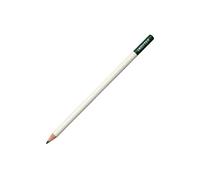Tombow | IROJITEN | Lapices de Colores Profesionales de Calidad | Ideal para Ilustraciones, Bullet Journaling, Mandalas | Uso Doméstico y Profesional | Color Forest Green