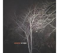 Tomeka Reid, Kyoko Kitamura, Taylor Ho By Geometry of Tre (CD) (Importación USA)