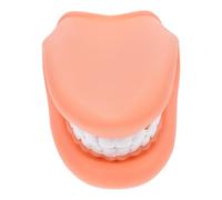 TOMETURE Modelo Dental para Enseñanza de Cepillado de Dientes en Pvc Funciones Interactivas para Demostraciones Prácticas en Clínicas y Educación Infantil