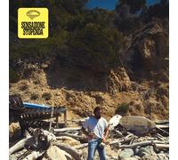 Tommaso Paradiso - Sensación Maravilloso (2023) LP Vinilo