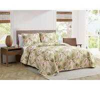 Tommy Bahama tópico Orchid - Juego de Fundas para edredón, algodón, Verde, Matrimonio