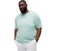 Tommy Hilfiger Camiseta de Manga Corta Hombre Brand Love Mono Stack de algodón, Verde (Crushed Mint), 2XL