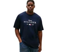 Tommy Hilfiger Camiseta para Hombre BT-Brand Love Big Hilfiger tee-B MW0MW43005 S/S, Azul, XXL_Plus, Azul (Desert Sky), XXL Grande